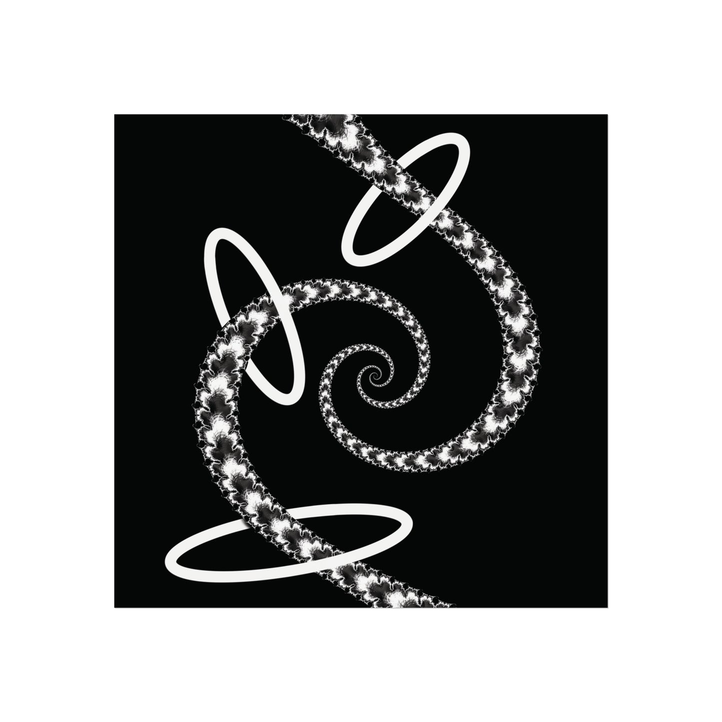 Digital artwork titled 'Hoops' featuring a black and white fractal spiral and three white circular forms.